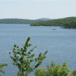 Ömerli Barajı ve içme suyumuz tehlikede mi? 13