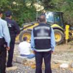 'Yol yapılacak diye asırlık ağaçlar kesiliyor!’ 12