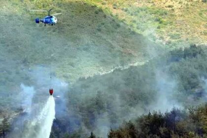 Paşaköy'de orman yangını! 32