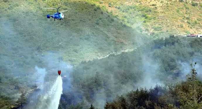 Paşaköy'de orman yangını! 11 Paşaköy'de orman yangını! 11
