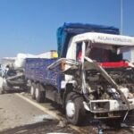 TEM'e çıkan köpek kazaya neden oldu: 1 ölü, 2 yaralı 12