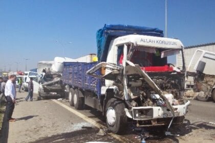 TEM'e çıkan köpek kazaya neden oldu: 1 ölü, 2 yaralı 27