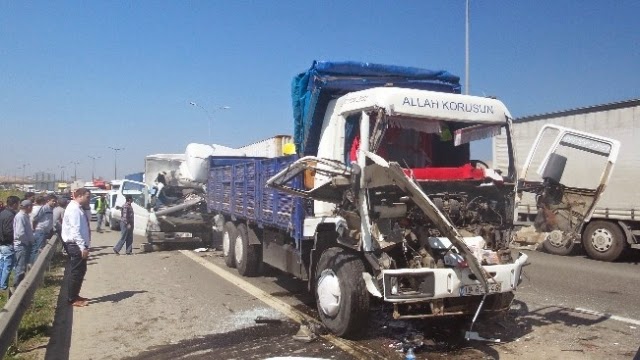 TEM'e çıkan köpek kazaya neden oldu: 1 ölü, 2 yaralı 11 TEM'e çıkan köpek kazaya neden oldu: 1 ölü, 2 yaralı 11