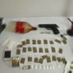 Sancaktepe'de bonzai operasyonu 12