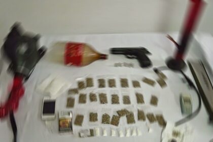 Sancaktepe'de bonzai operasyonu 25