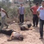 Sancaktepe Paşaköy İSKİ tesislerinde kaza 12