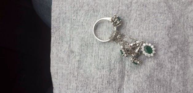 İşe girdikleri villaları soyuyorlar 11