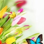 Sancaktepe Lale Festivali bugün başlıyor 13