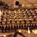 Bir çok ilçede eş zamanlı operasyon 12