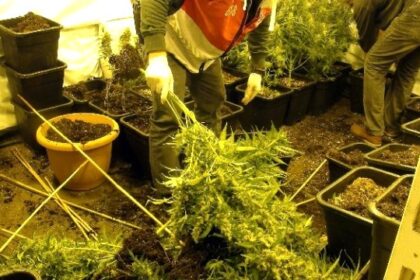 Lüks villaya uyuşturucu baskını! 25