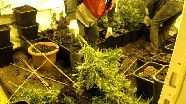 Lüks villaya uyuşturucu baskını! 11 Lüks villaya uyuşturucu baskını! 11