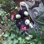 Freni boşalan kamyonet bahçeye uçtu! 1 ölü! 13