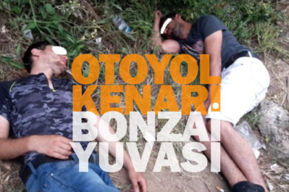 Bonzai kullanan gençlerin içler acısı hali! 38