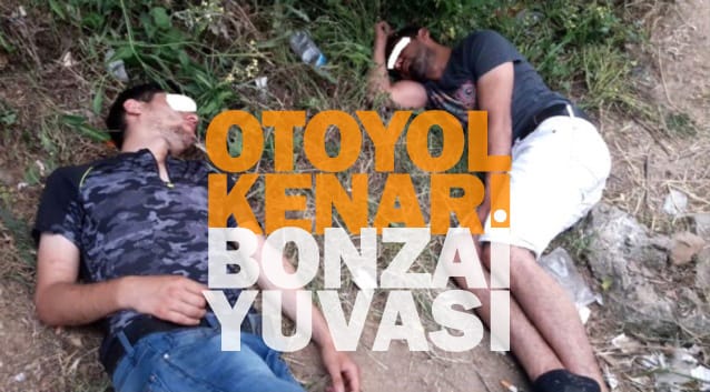 Bonzai kullanan gençlerin içler acısı hali! 13
