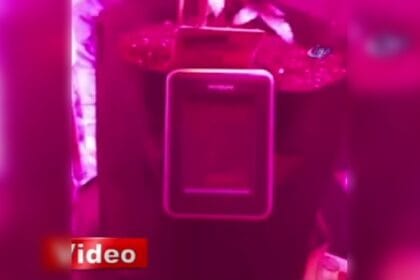 Yatak odasını hint keneviri bahçesine çevirmiş! 24