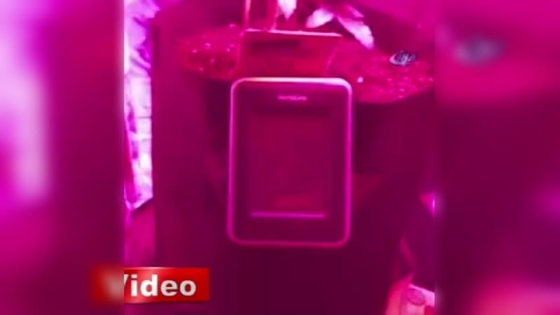 Yatak odasını hint keneviri bahçesine çevirmiş! 11