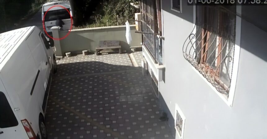 Hırsızlar araç sahibini görünce neye uğradıklarını şaşırdılar 11