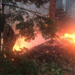 Aydos Ormanı’nın bir çok yerinde şüpheli yangın! 13