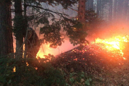 Aydos Ormanı’nın bir çok yerinde şüpheli yangın! 25