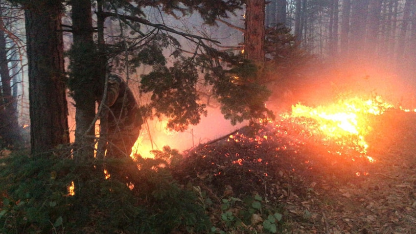 Aydos Ormanı'nda çıkan yangında kundaklama şüphesi! 11
