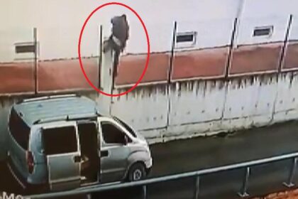 Suç makinesi hırsızlar sonunda yakalandı! 23