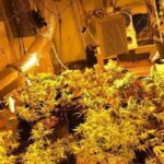 Uyuşturucu imalathanesi polisleri şaşkına çevirdi! 13