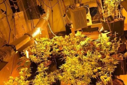 Uyuşturucu imalathanesi polisleri şaşkına çevirdi! 23