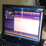 Mührü kırıp sanal kumar oynadılar 11