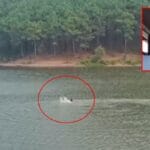 Gölette kaybolan kişinin cansız bedenine ulaşıldı 11