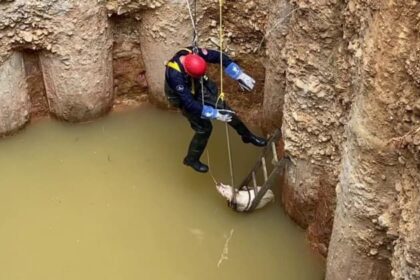 Su dolu çukura düşen dostumuz kurtarıldı 🤗 25