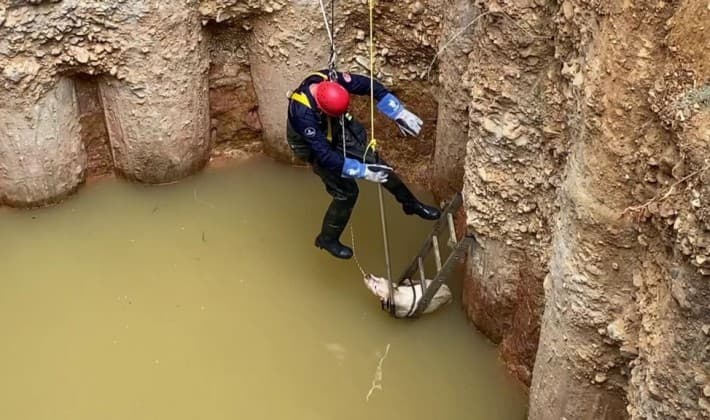 Su dolu çukura düşen dostumuz kurtarıldı 🤗 11