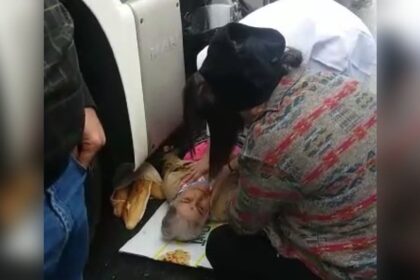 Karşıdan karşıya geçmek isteyen yaşlı kadın TIR'ın altında kaldı 30