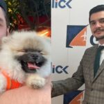 TEM'de kaza: Genç girişimci hayatını kaybetti 13