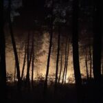 Çekmeköy'de orman yangını 12