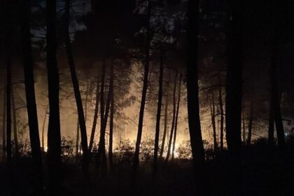 Çekmeköy'de orman yangını 26