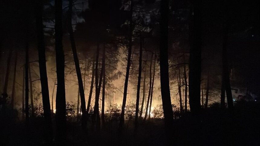 Çekmeköy'de orman yangını 11 Çekmeköy'de orman yangını 11