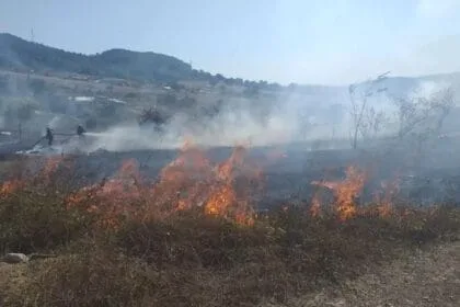 Sancaktepe'de iki ayrı noktada yangın çıktı 18 sancaktepede otluk yangin