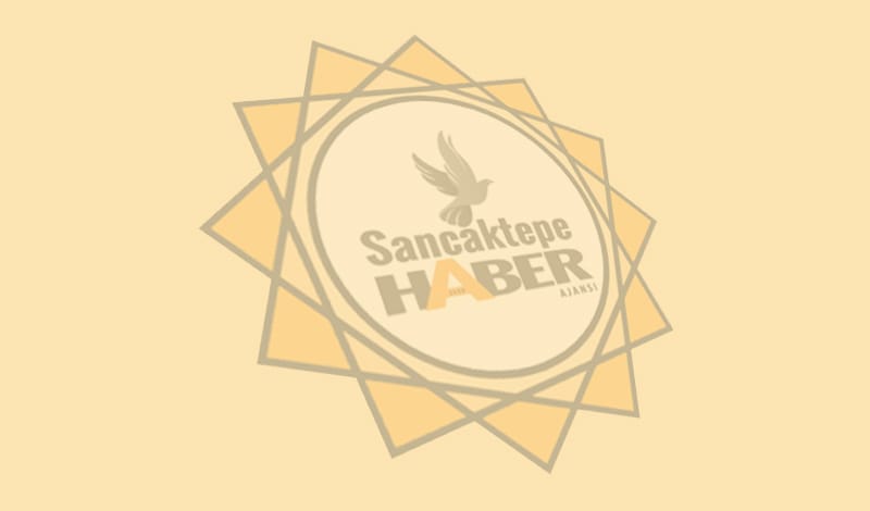 Mahalleliyi bezdiren şişli saldırgan yakalandı 11