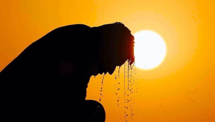 Kavurucu yaz: Balkanlar, Türkiye ve Ortadoğu'da rekor sıcaklıklar 11 Kavurucu yaz: Balkanlar, Türkiye ve Ortadoğu'da rekor sıcaklıklar 11