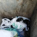 Vicdansızlık! Yeni doğmuş köpekleri poşete koyup çöpe attılar 12