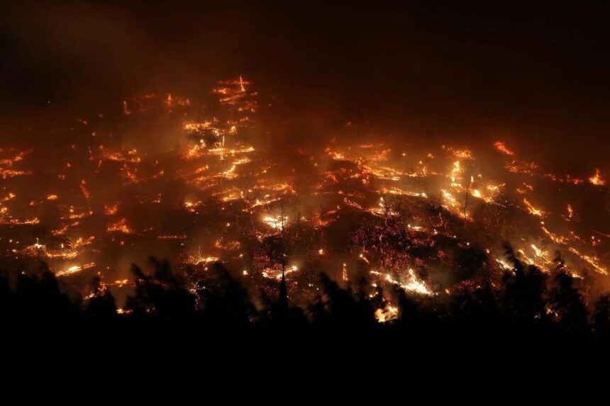 Türkiye Alev Alev: Yangınlar birçok ilde etkisini sürdürüyor 11