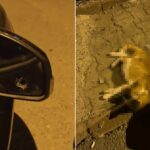 Husumetlisinin evine kurşun yağdıran O.Ç. tutuklandı 13