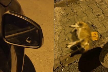 Husumetlisinin evine kurşun yağdıran O.Ç. tutuklandı 36