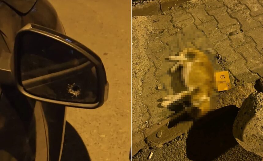 Husumetlisinin evine kurşun yağdıran O.Ç. tutuklandı 11