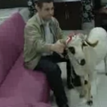 3 bin liralık alışveriş yap, kurbanlık koçu kap! 12