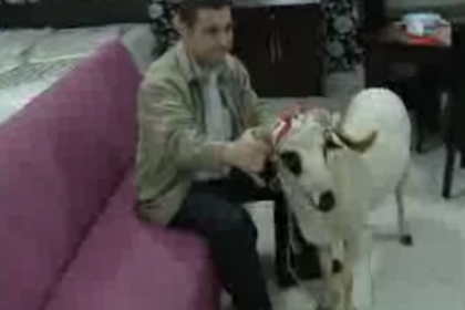 3 bin liralık alışveriş yap, kurbanlık koçu kap! 21