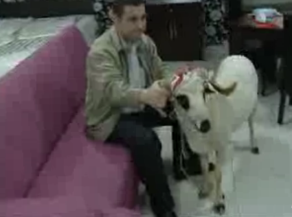 3 bin liralık alışveriş yap, kurbanlık koçu kap! 11