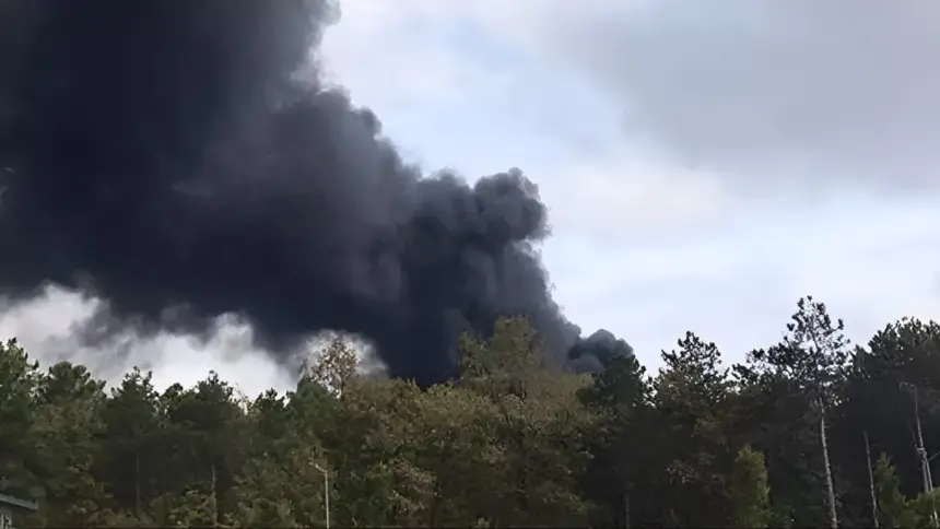 Ormanlık alanda çıkan yangın söndürüldü 11