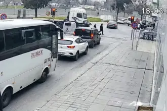 samandira-kaza-tir-ezdi-kadin