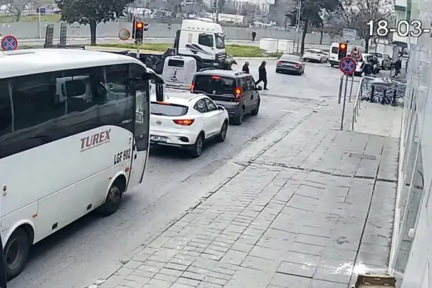 samandira-kaza-tir-ezdi-kadin